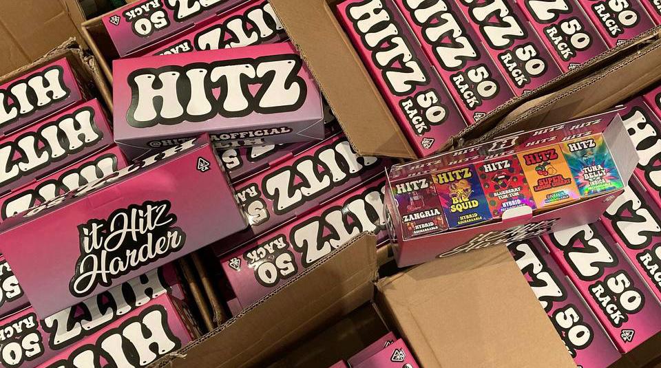 Hitz Disposable Master Boxes (100 pcs) Mixed Variety Flavors variety box