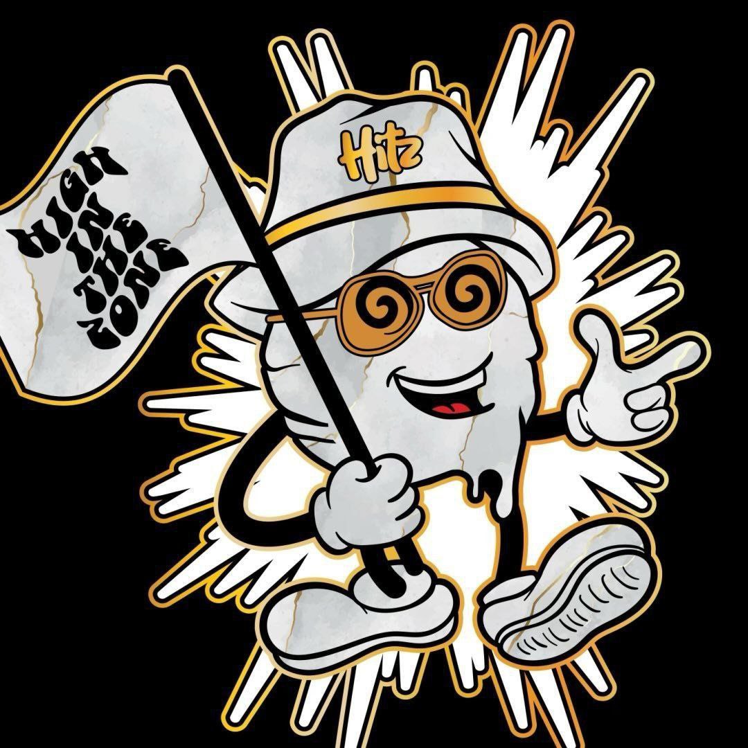 hitz vape photo 2024 10 01 23 07 47